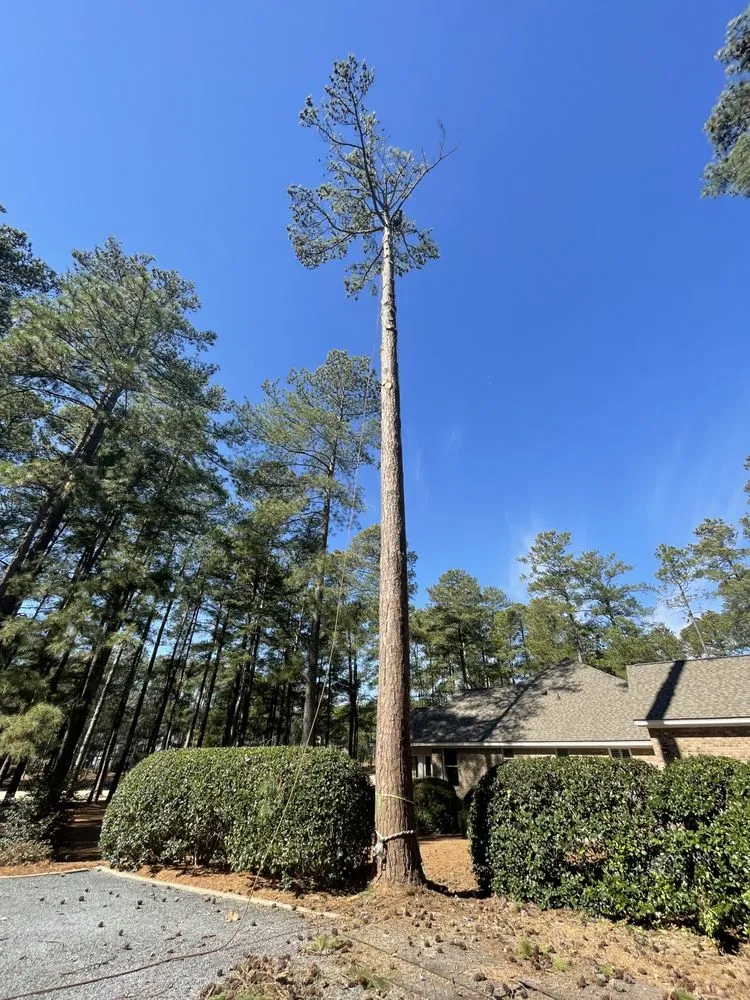 Affordable landscaping services in Fayetteville, NC - Bryant’s Tree Service