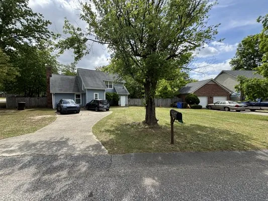 Bryant’s Tree Service Logo