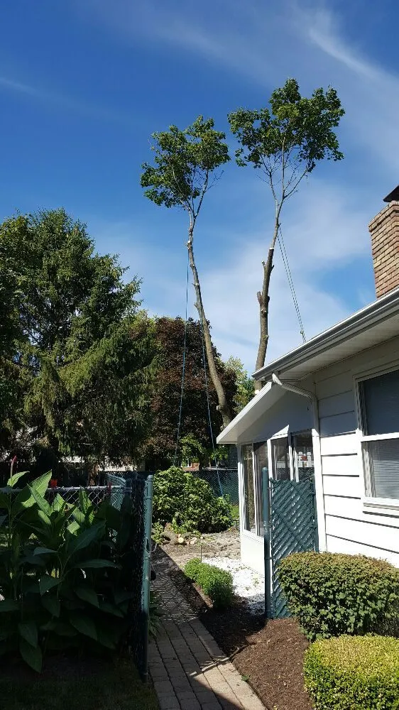 Top-rated landscaping services in Westerville, OH by Bryant's Tree Service