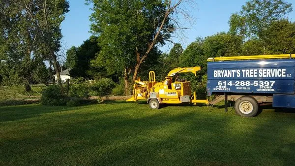 Bryant's Tree Service Logo