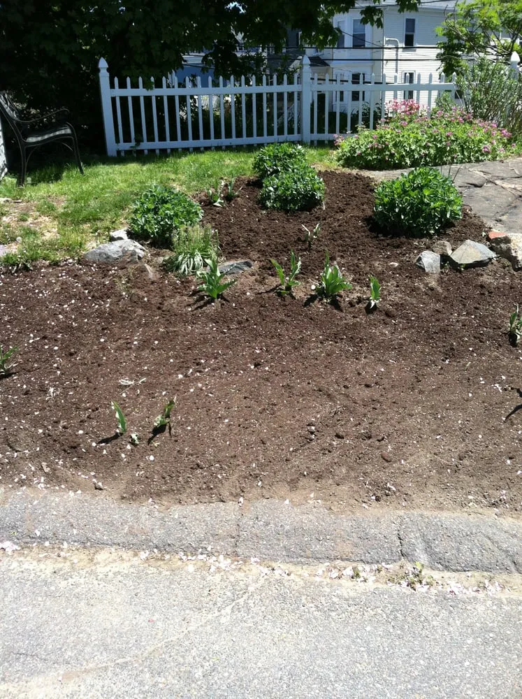 Expert yard maintenance experts serving Swampscott, MA - Bryce Chadwell Jr