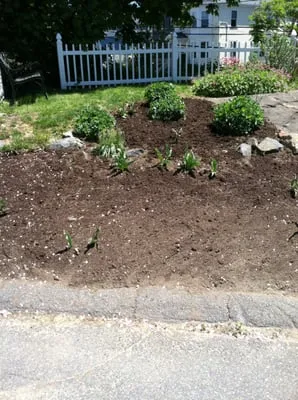 Bryce Chadwell Jr Logo