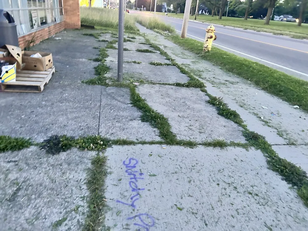 Top-rated yard cleanup service experts serving Burton, MI - Bryces Car Interior Lawn And Yard Care Cleaning