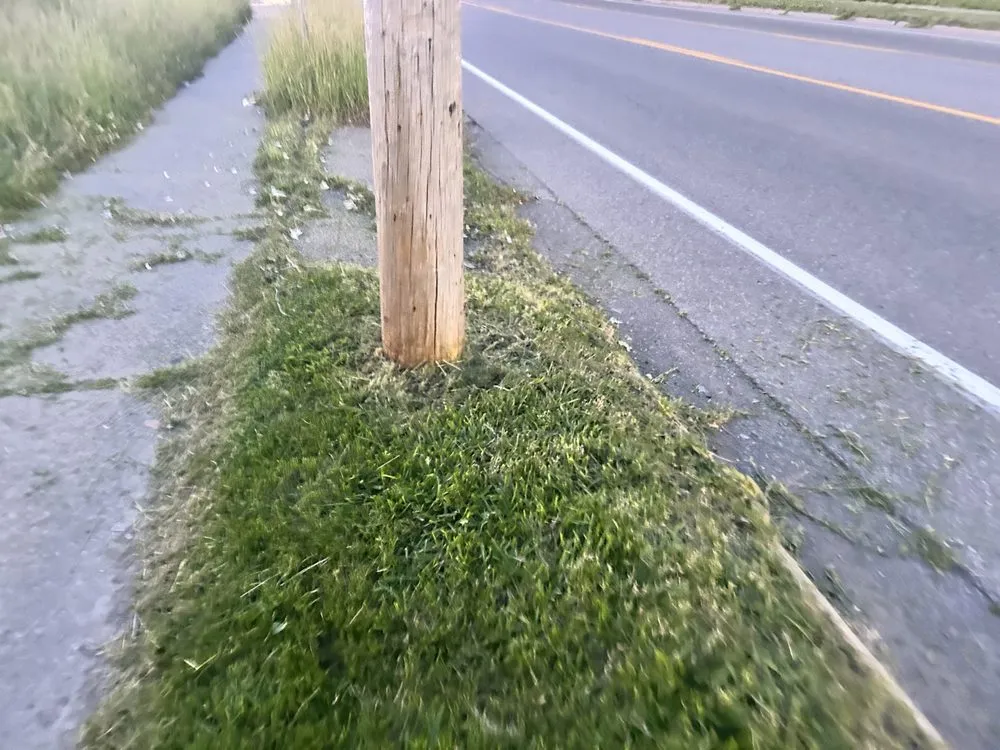 Expert outdoor landscaping in Burton, MI - Bryces Car Interior Lawn And Yard Care Cleaning