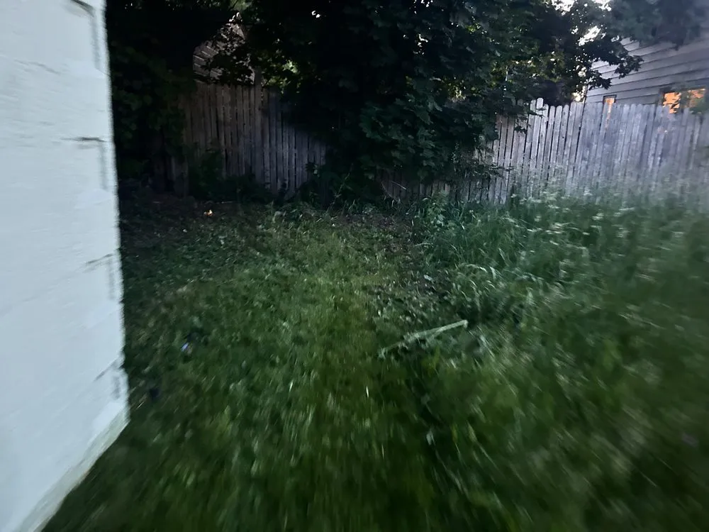 Affordable yard cleanup service in Burton, MI by Bryces Car Interior Lawn And Yard Care Cleaning