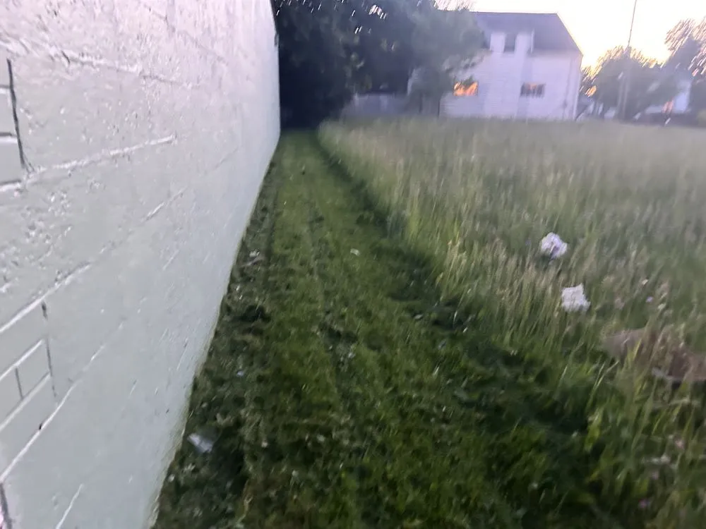 Trusted yard maintenance experts serving Burton, MI - Bryces Car Interior Lawn And Yard Care Cleaning