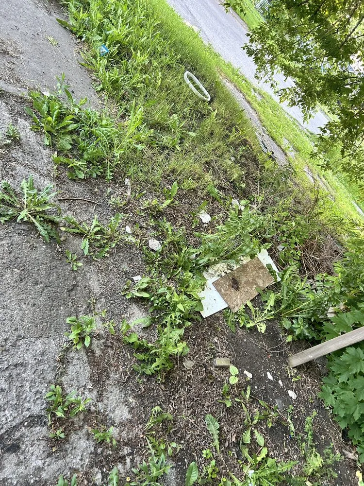 Professional garden landscaping in Burton, MI - Bryces Car Interior Lawn And Yard Care Cleaning