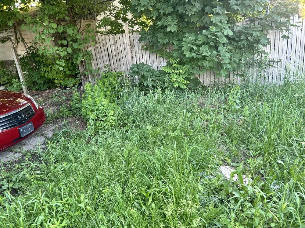 Local lawn mowing service with custom design across Burton, MI - Bryces Car Interior Lawn And Yard Care Cleaning