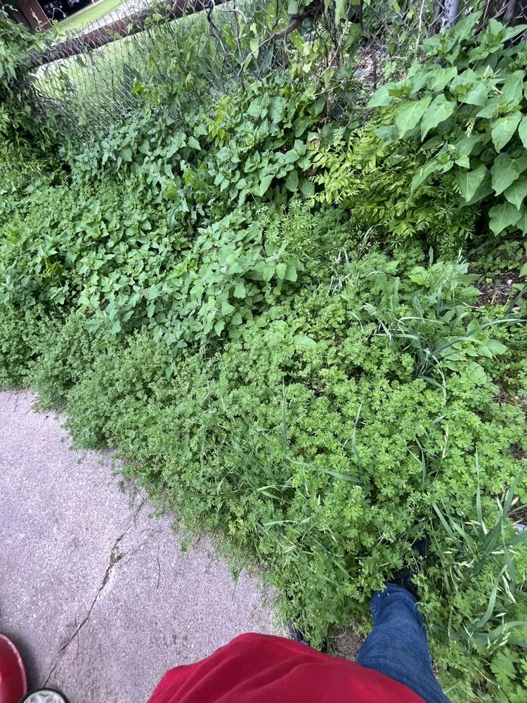 Trusted outdoor landscaping experts serving Bowie, TX - Brylan Sanders Lawn Care