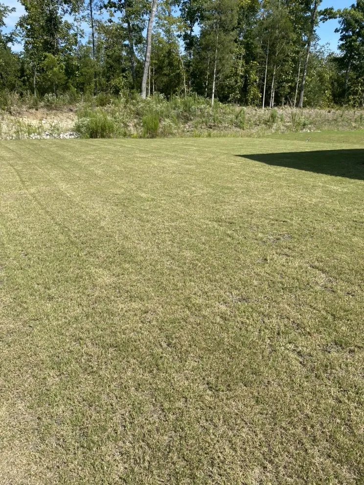 Reliable yard cleanup service experts serving Rock Hill, SC - Bryson Lawn Care