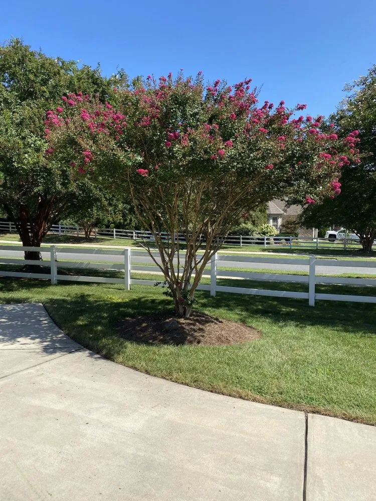 Trusted residential landscaping for homes across Rock Hill, SC - Bryson Lawn Care