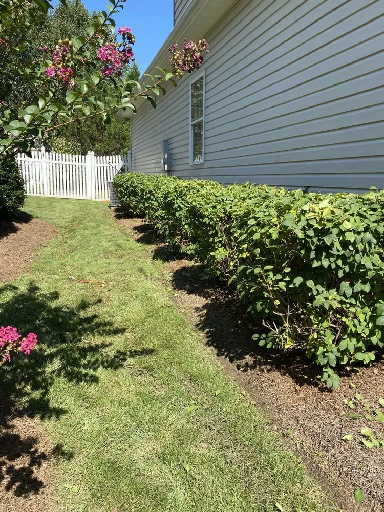 Professional yard maintenance for year-round maintenance in Rock Hill, SC by Bryson Lawn Care