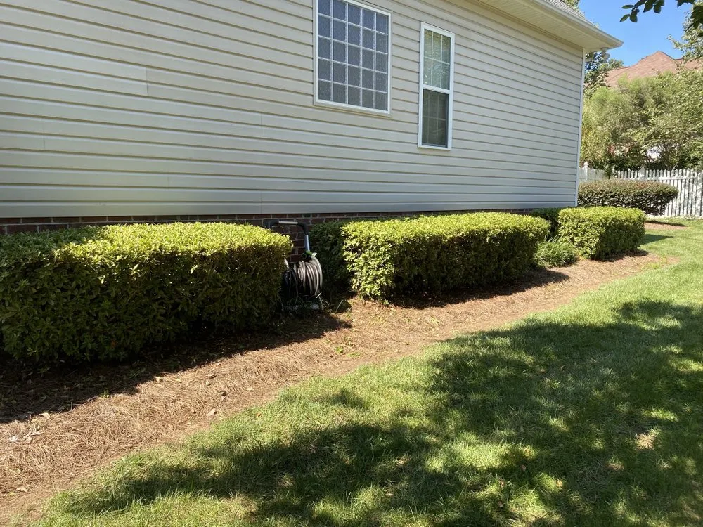Professional yard maintenance in Rock Hill, SC - Bryson Lawn Care