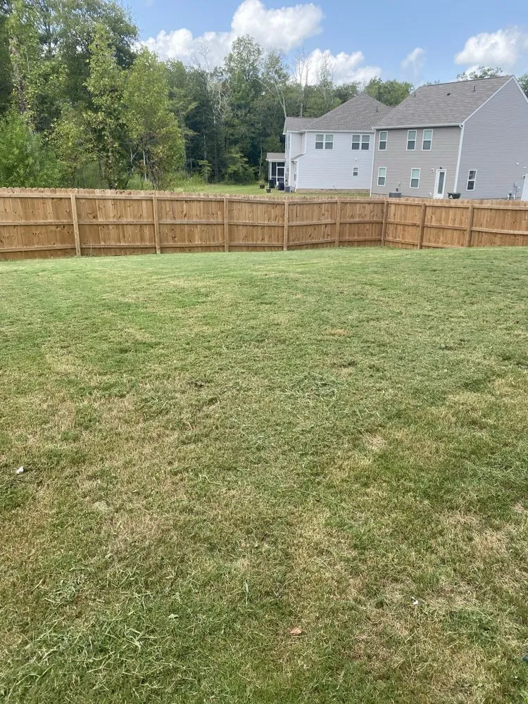 Professional yard maintenance in Rock Hill, SC by Bryson Lawn Care
