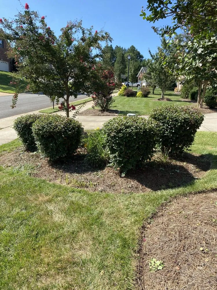 Reliable lawn mowing service in Rock Hill, SC - Bryson Lawn Care