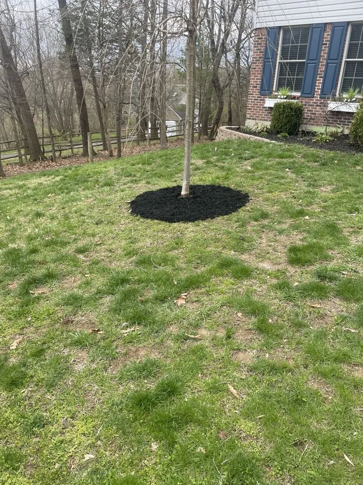 Reliable lawn mowing service for residential properties in Lawrenceburg, IN by Brysons Landscaping