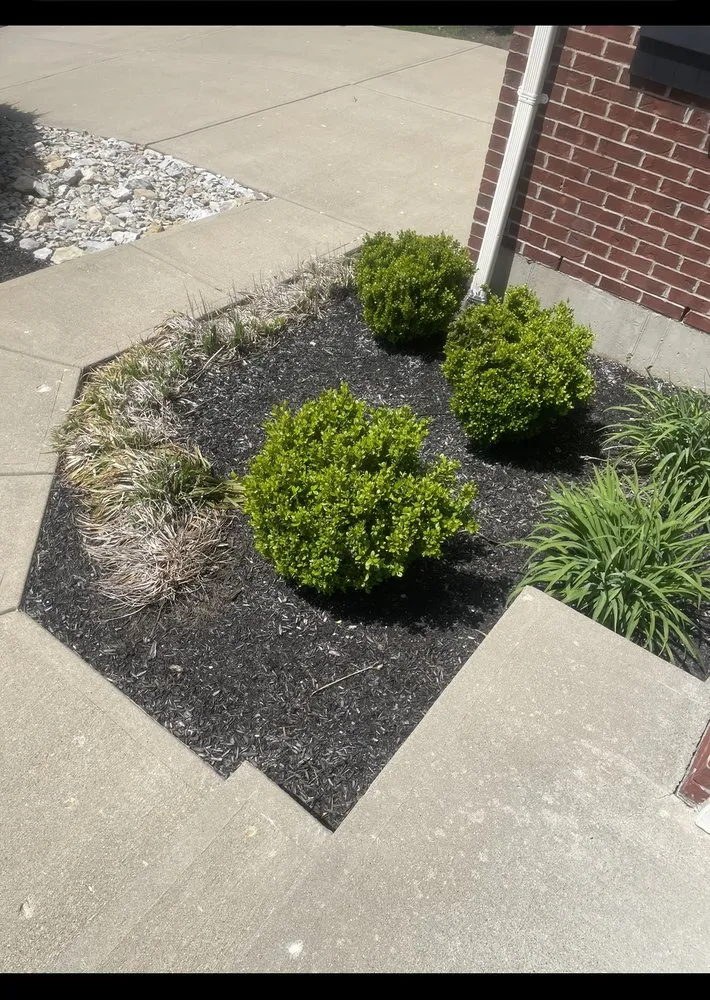 Expert lawn care service for year-round maintenance in Lawrenceburg, IN by Brysons Landscaping