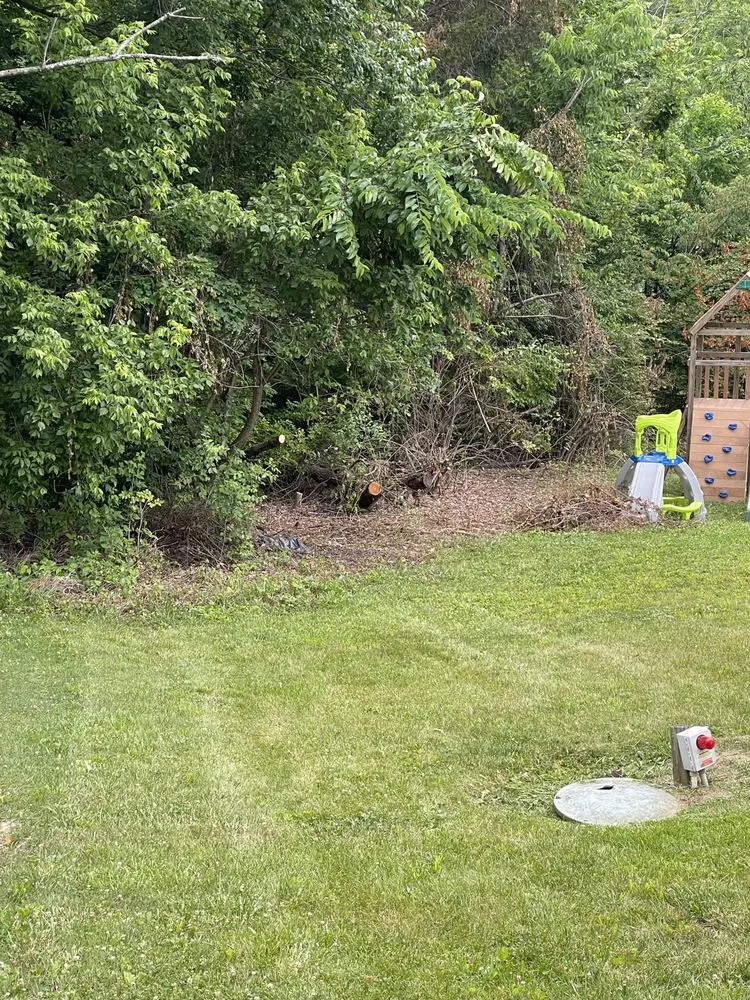 Expert yard maintenance for outdoor upgrades across Lawrenceburg, IN - Brysons Landscaping