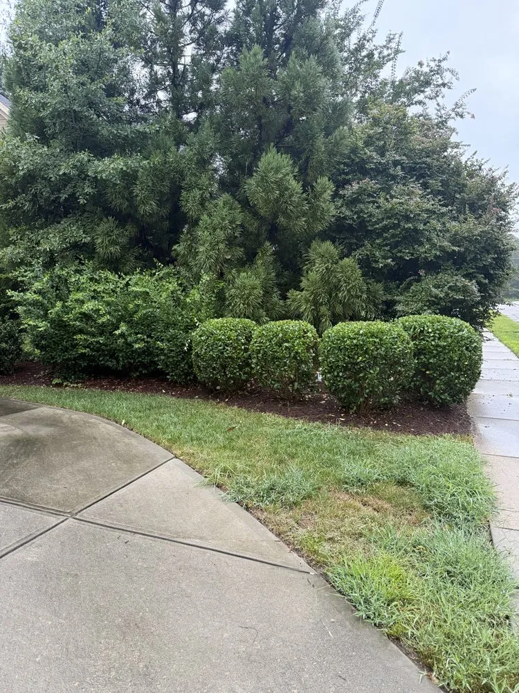 Custom landscape installation with custom design in Holly Springs, NC by Bryson's Lawn and Landscape