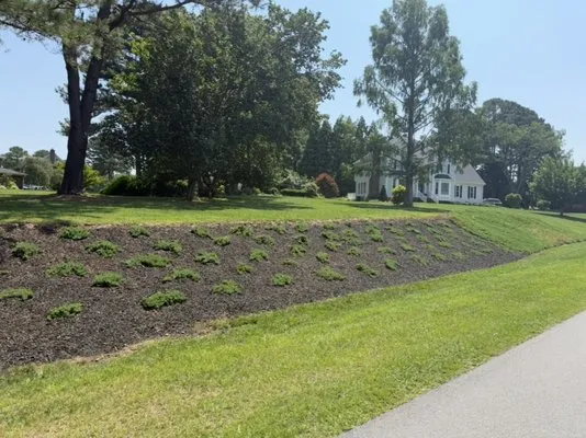 Bryson's Lawn and Landscape