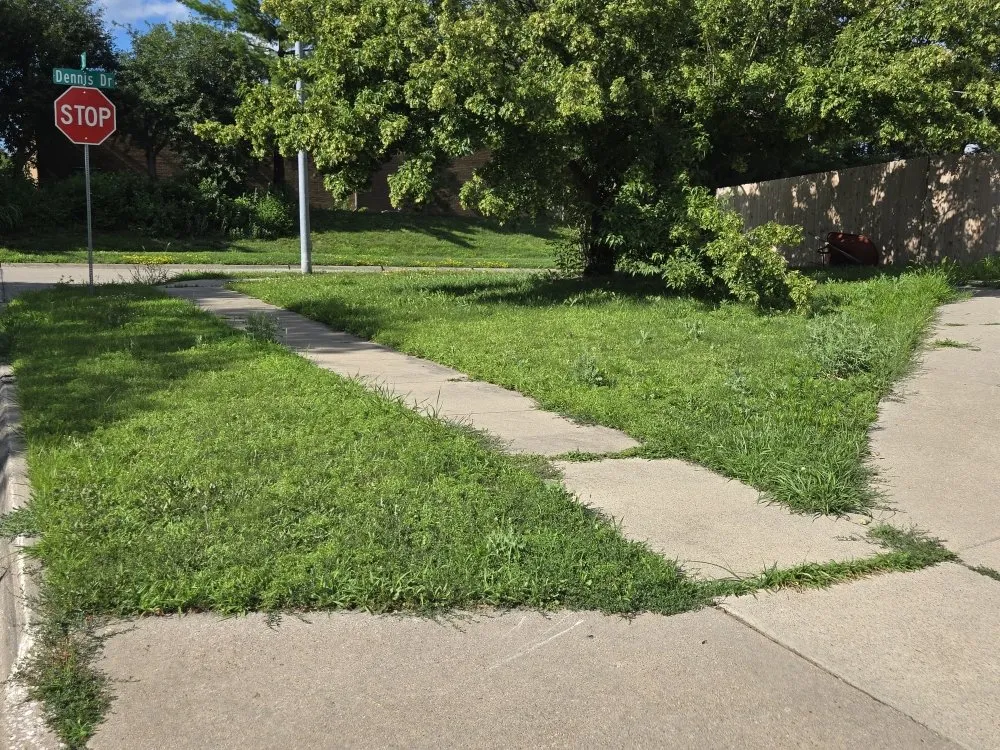 Local residential landscaping experts serving Carlisle, IA - Bryson's Lawn Care Service