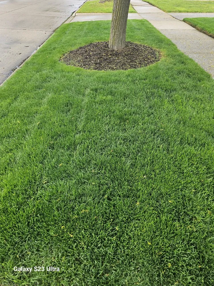 Expert garden landscaping for beautiful yards in Harper Woods, MI by B's Attention to Detail