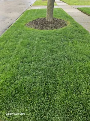 B's Attention to Detail