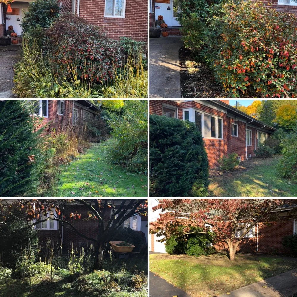 Local outdoor landscaping in Brookville, PA by B's Blooms and Landscaping