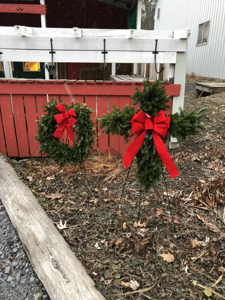 Professional outdoor landscaping in Brookville, PA - B's Blooms and Landscaping