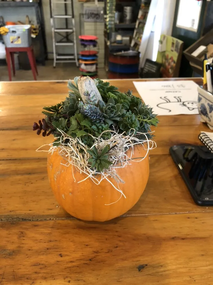 Professional lawn mowing service in Brookville, PA by B's Blooms and Landscaping