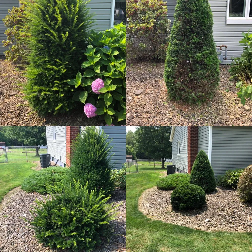 Reliable lawn care service for homes across Brookville, PA - B's Blooms and Landscaping