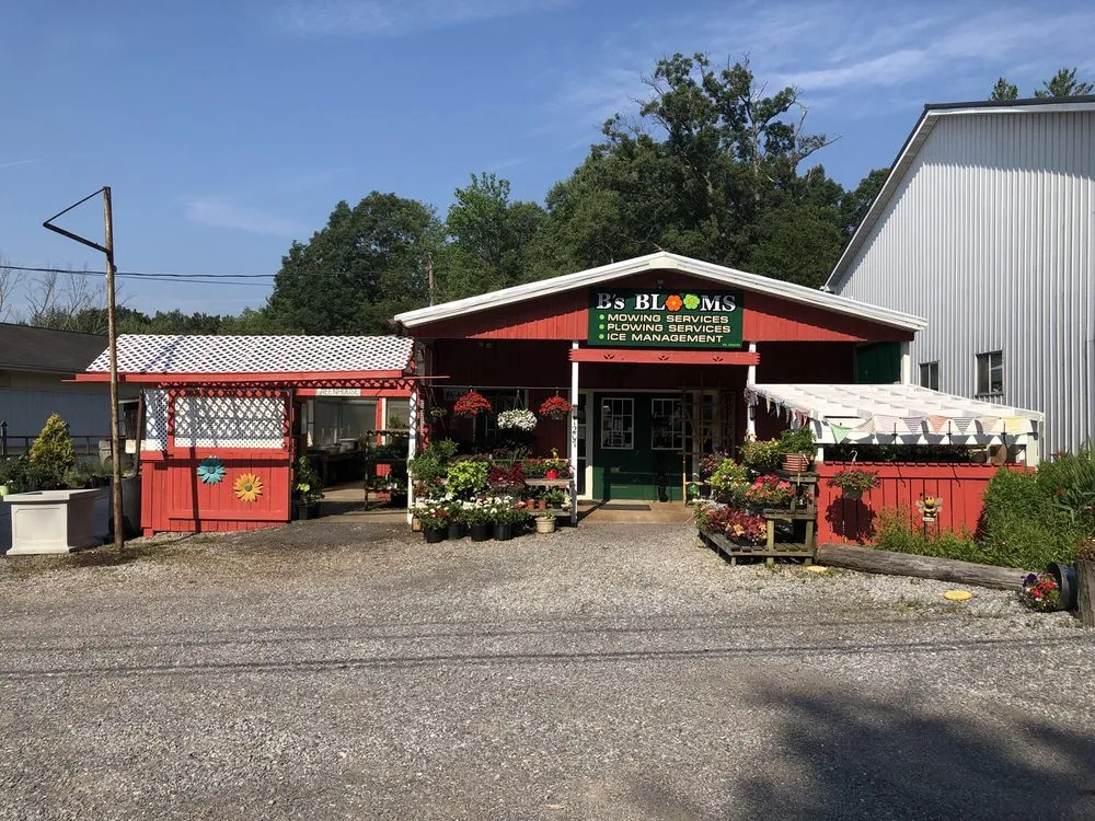 Local landscape installation experts serving Brookville, PA - B's Blooms and Landscaping