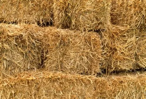 Professional landscape installation for beautiful yards across Brookville, PA - B's Blooms and Landscaping