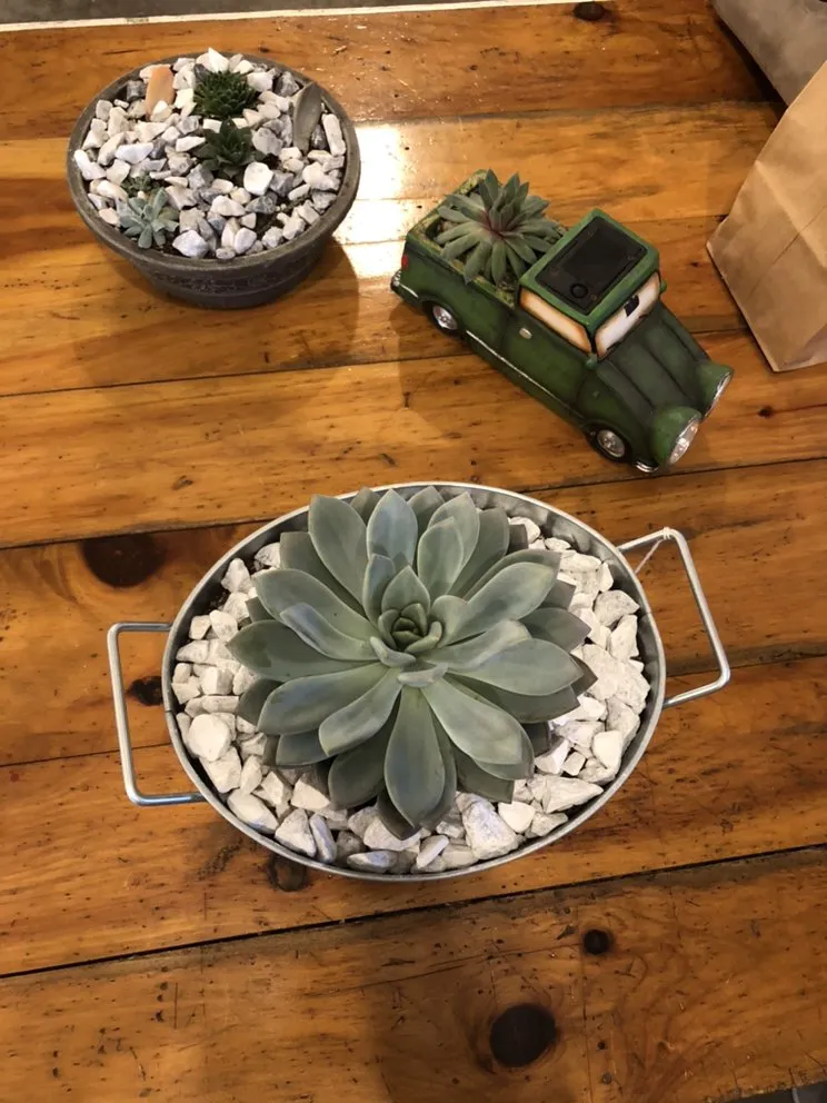 Reliable yard maintenance in Brookville, PA by B's Blooms and Landscaping