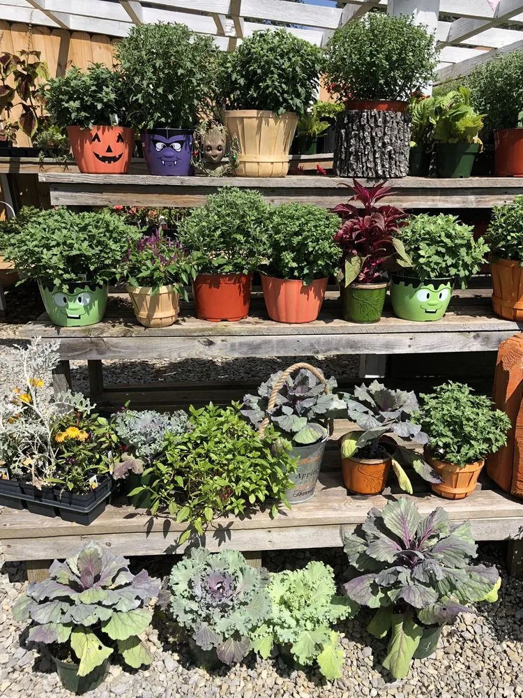 Local residential landscaping in Brookville, PA by B's Blooms and Landscaping