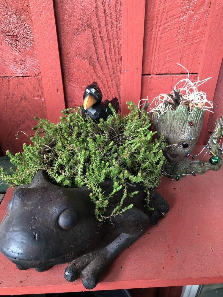 Affordable outdoor landscaping experts serving Brookville, PA - B's Blooms and Landscaping