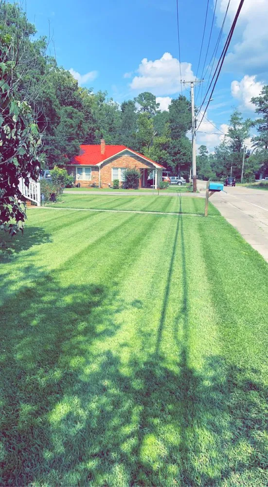 Custom yard cleanup service in Conway, SC by B's Complete Lawn Care