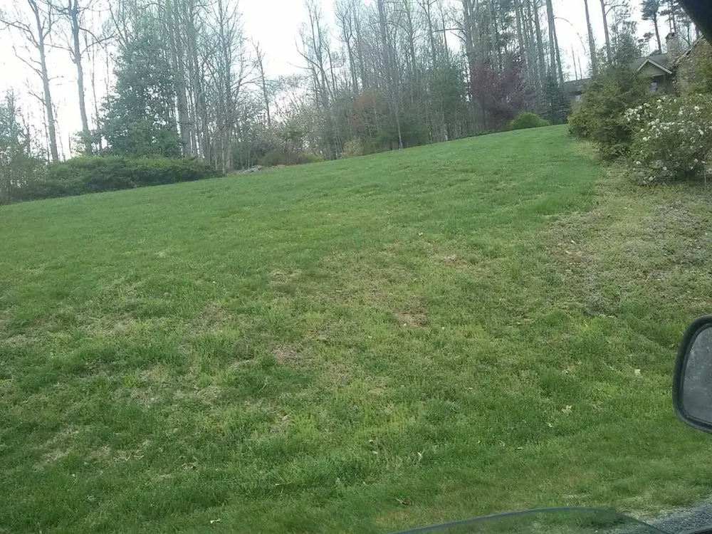 Custom yard cleanup service in Hendersonville, NC - B&S Hardscaping