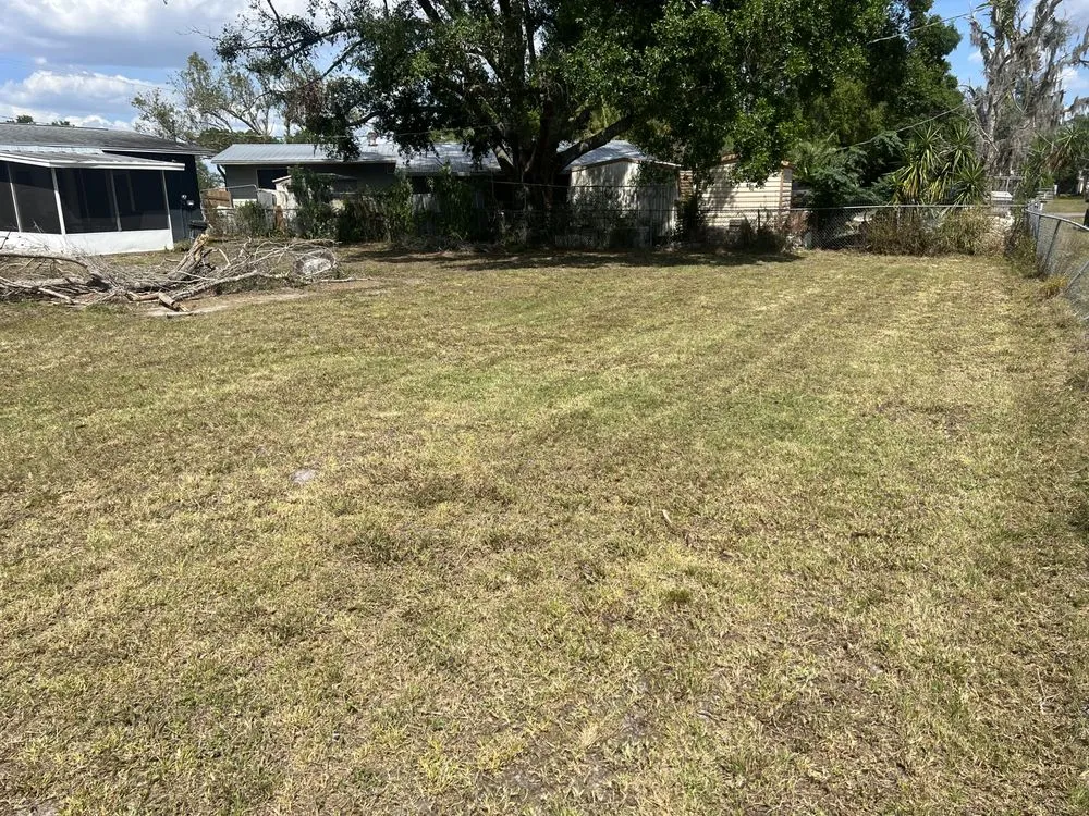 Trusted yard maintenance in Ona, FL - B&S Harvesting