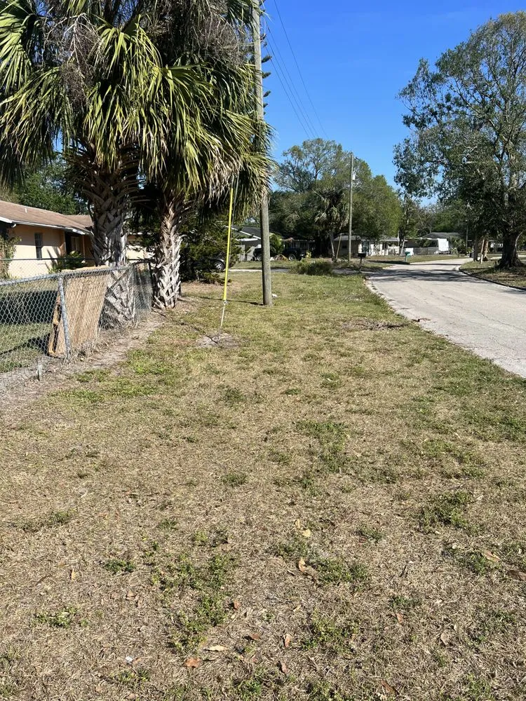 Professional yard maintenance in Ona, FL - B&S Harvesting
