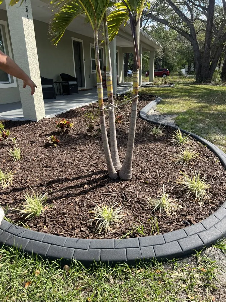 Top-rated landscape installation experts serving Ona, FL - B&S Harvesting