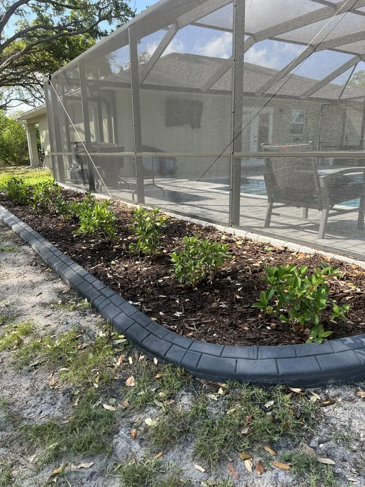 Professional yard cleanup service experts serving Ona, FL - B&S Harvesting