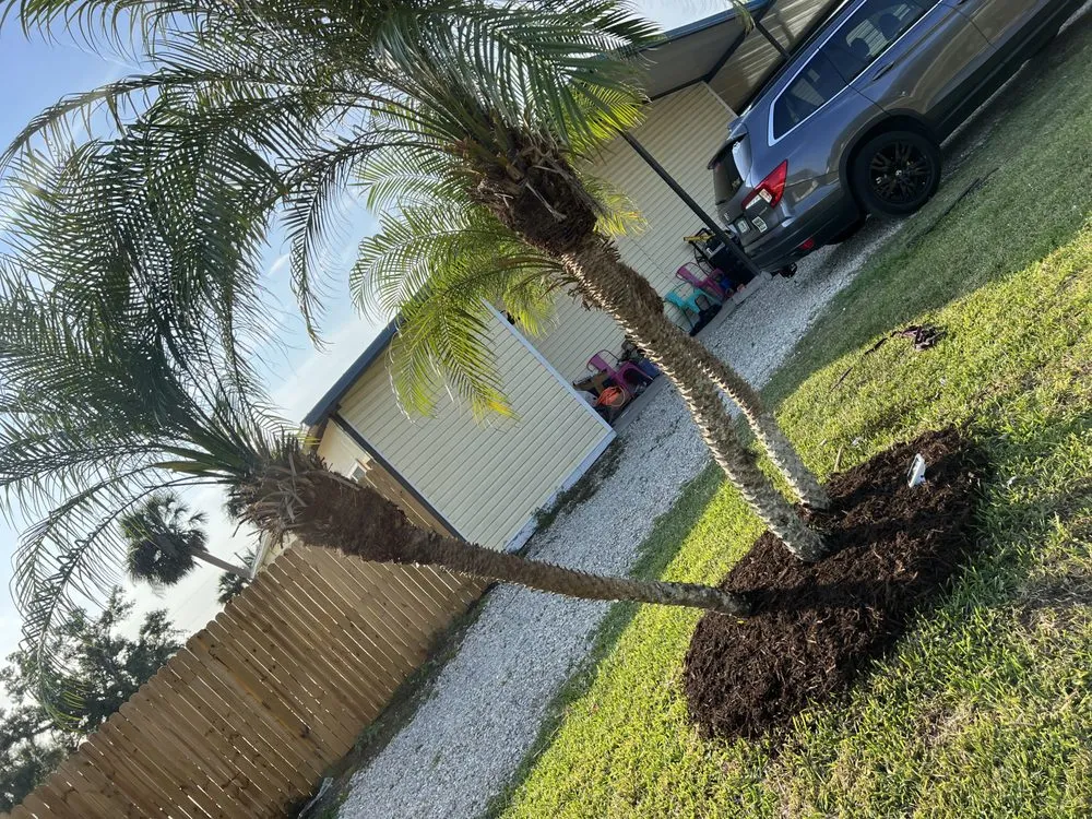 Local outdoor landscaping for residential properties across Ona, FL - B&S Harvesting