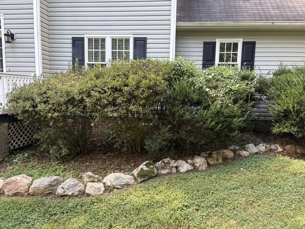 Trusted yard maintenance near you across Powhatan, VA - B’s Junk Removal And Lawn Services
