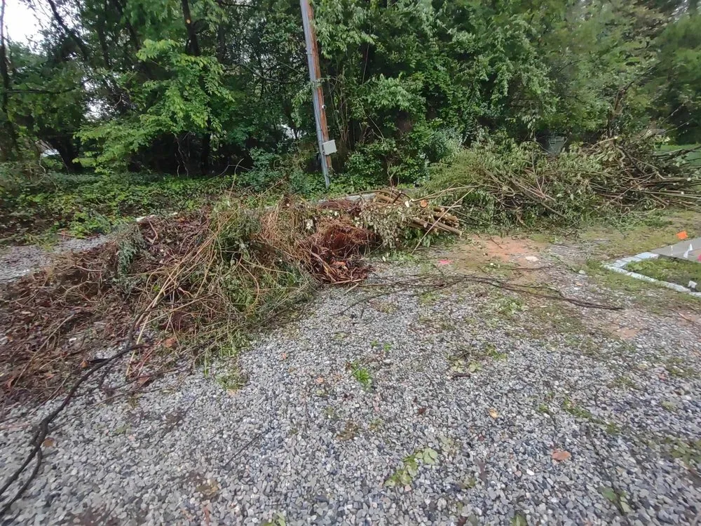 Local residential landscaping with custom design in Powhatan, VA by B’s Junk Removal And Lawn Services