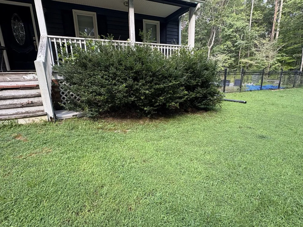 Top-rated landscape installation experts serving Powhatan, VA - B’s Junk Removal And Lawn Services