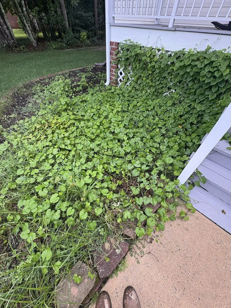 Local garden landscaping for homes across Powhatan, VA - B’s Junk Removal And Lawn Services