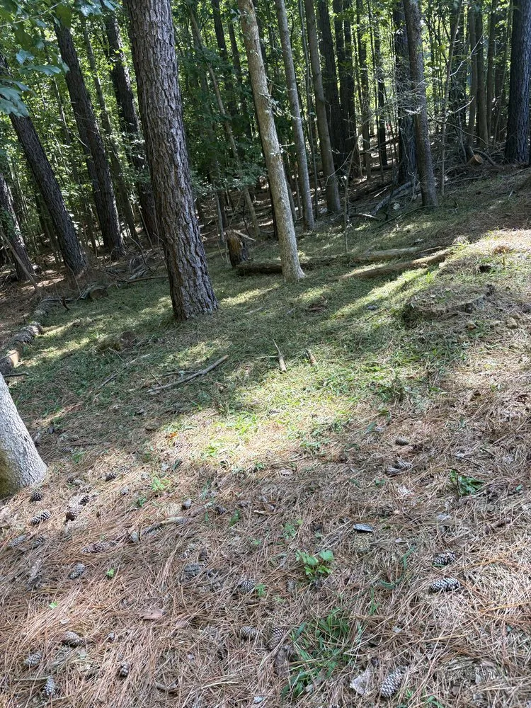 Professional residential landscaping for residential properties across Powhatan, VA - B’s Junk Removal And Lawn Services