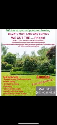 B&S Landscape and Pressure Cleaning Logo
