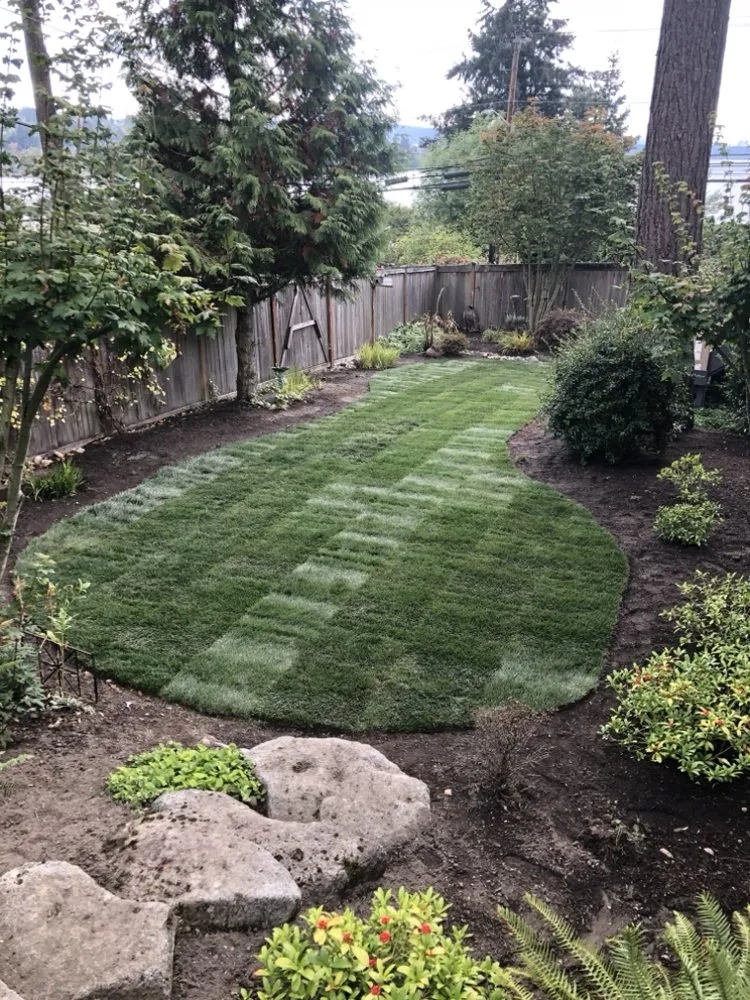 Professional lawn mowing service experts serving Kent, WA - B’s Landscapes